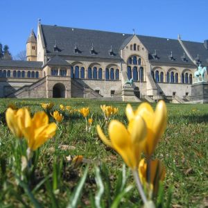 pk.kaiserpfalz blumen