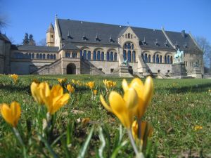 pk.kaiserpfalz blumen