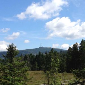 harz